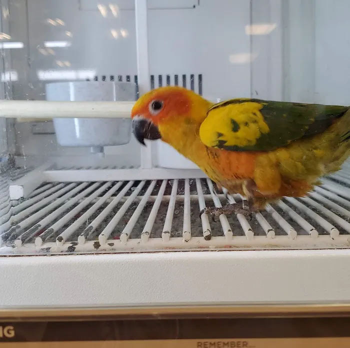 Petco Picture 3