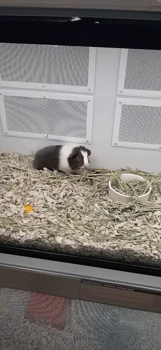 Petco Picture 6