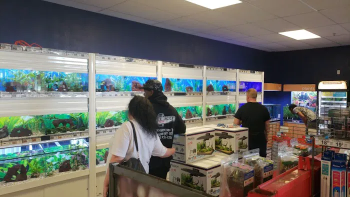 Petco Picture 8