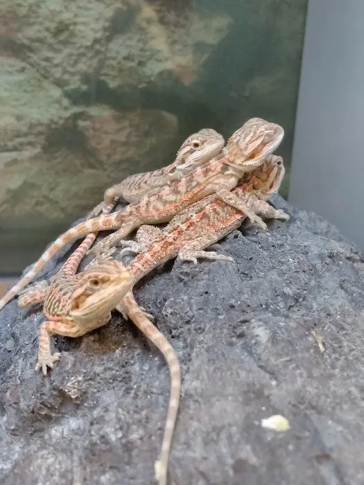 Petco Picture 10