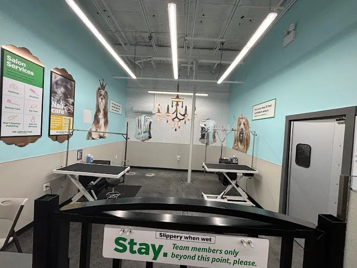 Pet Supplies Plus Port Jefferson Station Picture 7