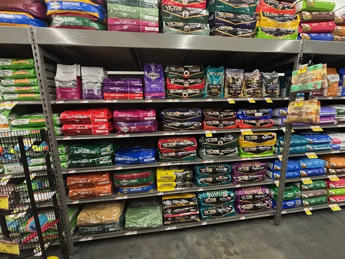 Pet Supplies Plus Port Jefferson Station Picture 9
