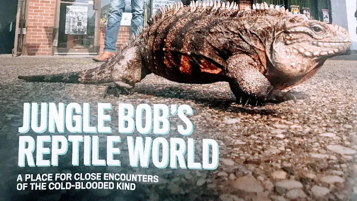 Jungle Bob's Reptile World Picture 1