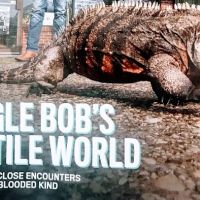 Jungle Bob's Reptile World ico