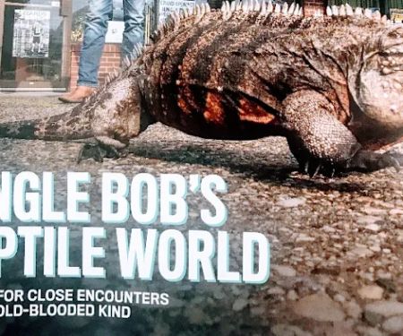 Jungle Bob's Reptile World