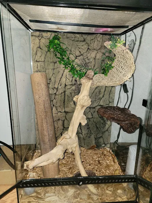 Jungle Bob's Reptile World Picture 7