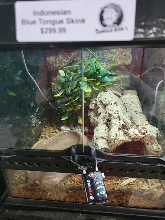Jungle Bob's Reptile World Picture 5