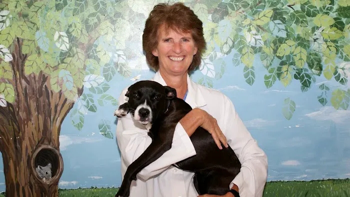 Longwood Veterinary Center Picture 10