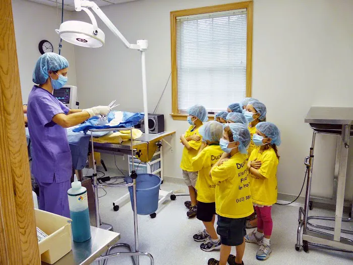 Longwood Veterinary Center Picture 9