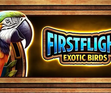 First Flight Exotic Birds