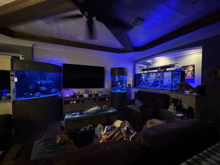 Island Fish & Reef Picture 1