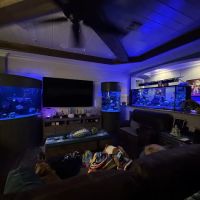 Island Fish & Reef ico