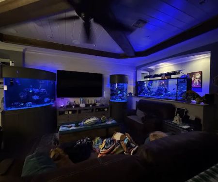 Island Fish & Reef