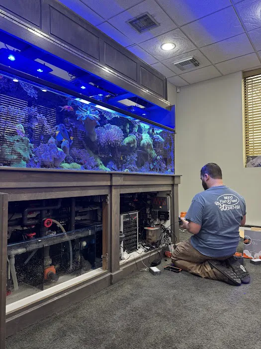 Island Fish & Reef Picture 5