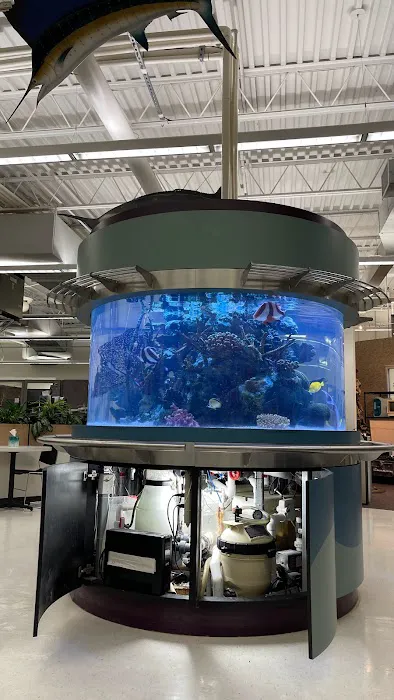 Island Fish & Reef Picture 4