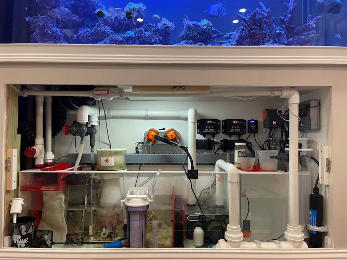 Island Fish & Reef Picture 2