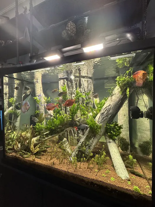 Island Fish & Reef Picture 3