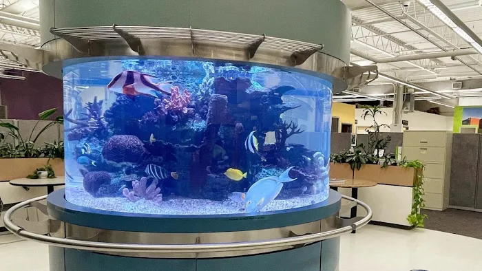 Island Fish & Reef Picture 7