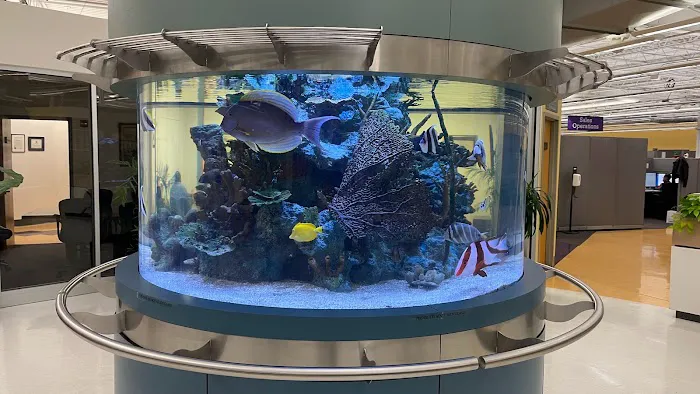 Island Fish & Reef Picture 10