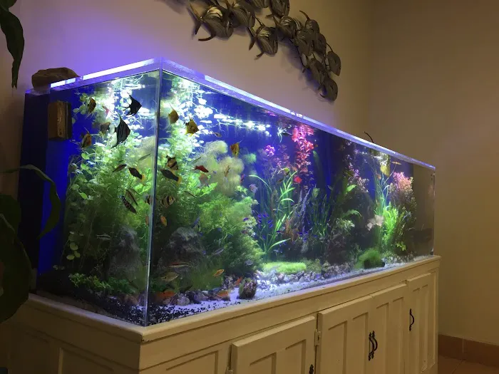 Aqua Hut Inc Picture 4