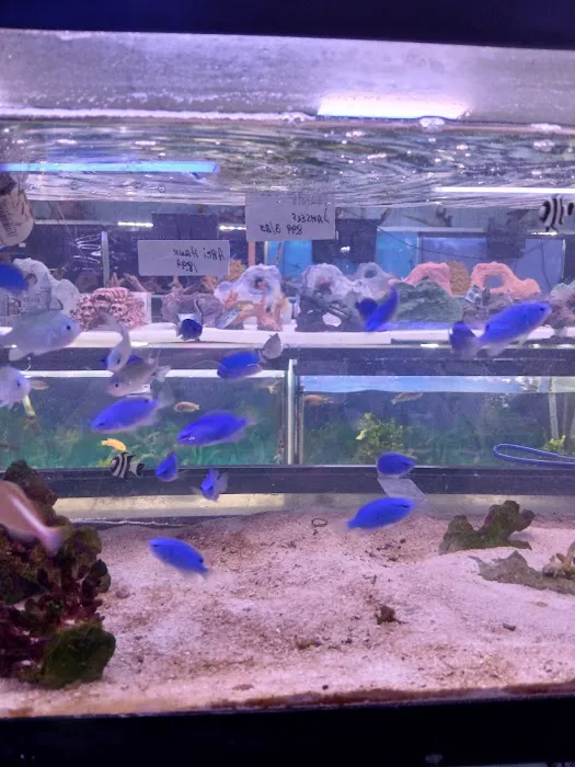 Aqua Hut Inc Picture 2