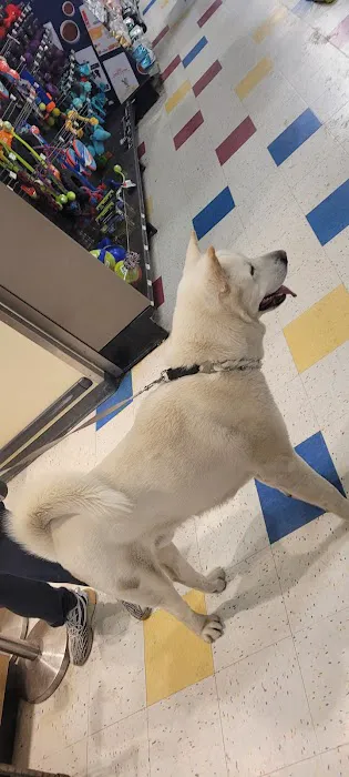 Petco Picture 8