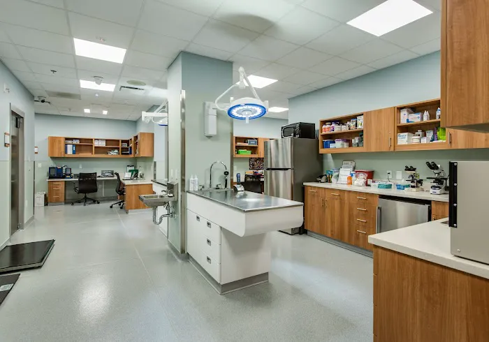 Faithful Friends Veterinary Clinic Picture 3
