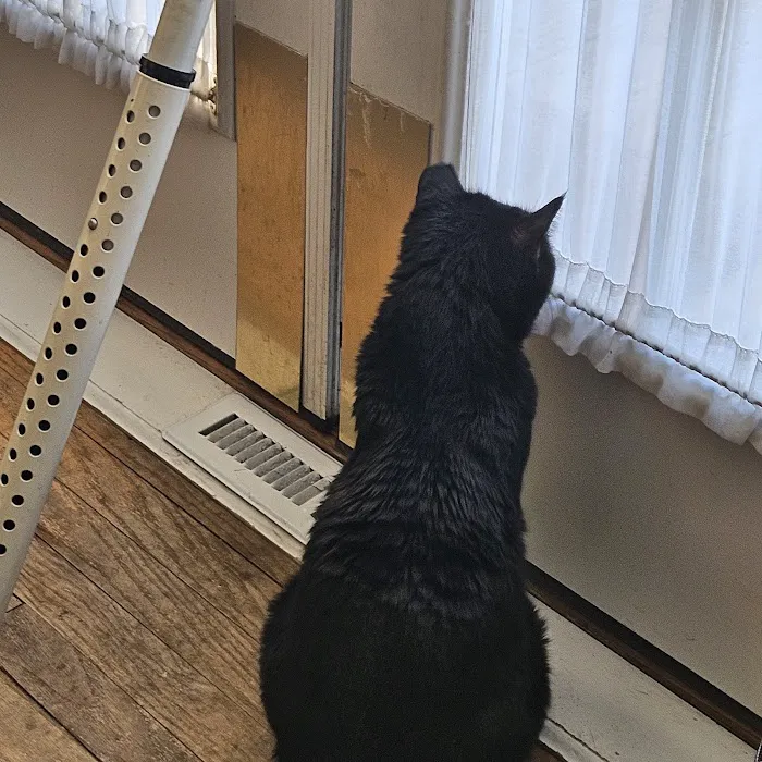 Faithful Friends Veterinary Clinic Picture 4