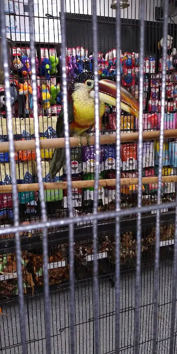 Country Critters Ltd Picture 7