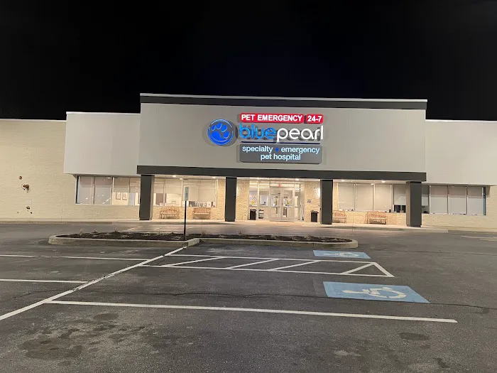 BluePearl Pet Hospital Picture 3