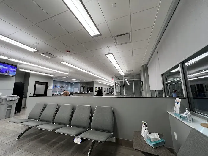 BluePearl Pet Hospital Picture 7
