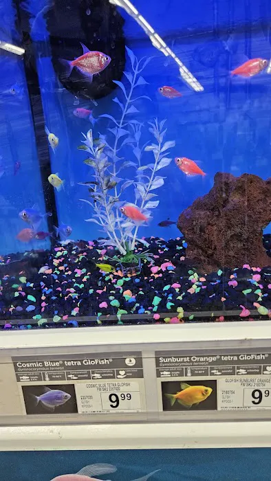 Petco Picture 2
