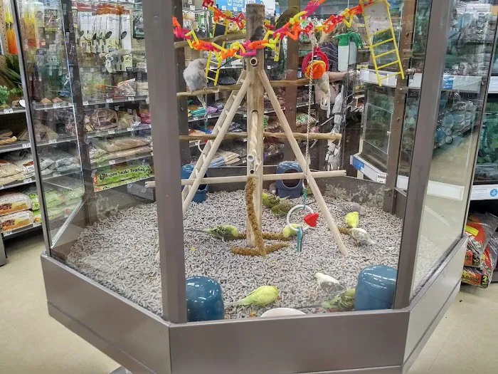 Petco Picture 1