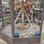 Petco