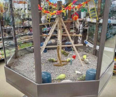 Petco