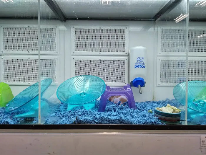 Petco Picture 6