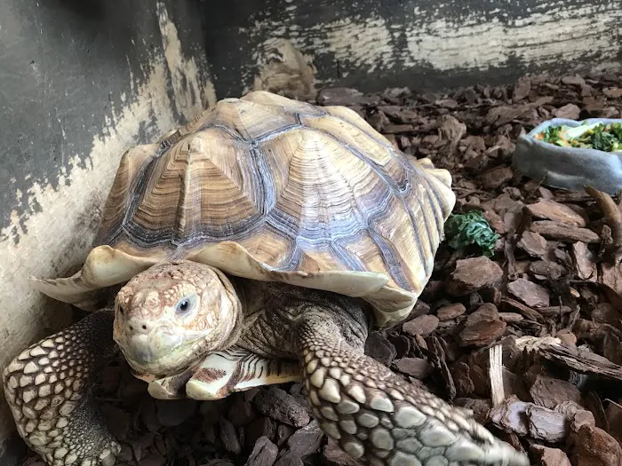 Petco Picture 5