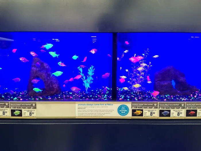 Petco Picture 9