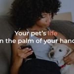 Maven Pet