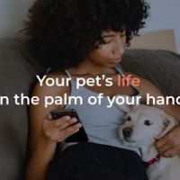 Maven Pet ico