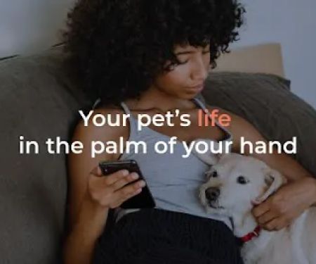 Maven Pet