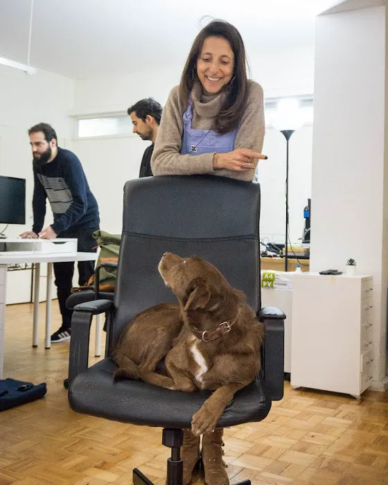 Maven Pet Picture 4