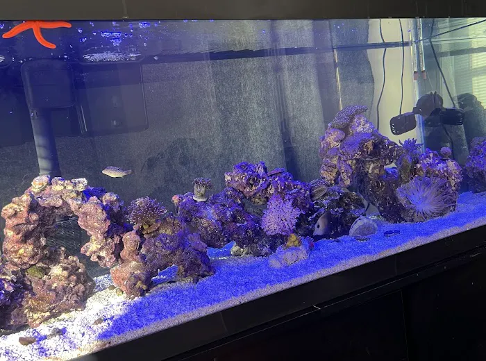 Max Reef Aquatics LLC Picture 1