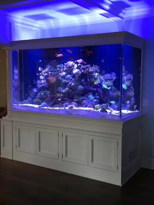 Max Reef Aquatics LLC Picture 4