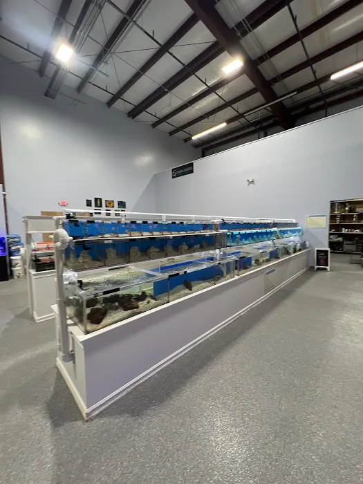 Max Reef Aquatics LLC Picture 5