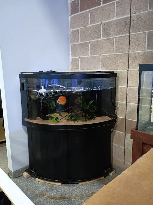 Max Reef Aquatics LLC Picture 7