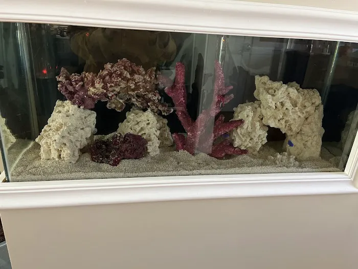 Max Reef Aquatics LLC Picture 10