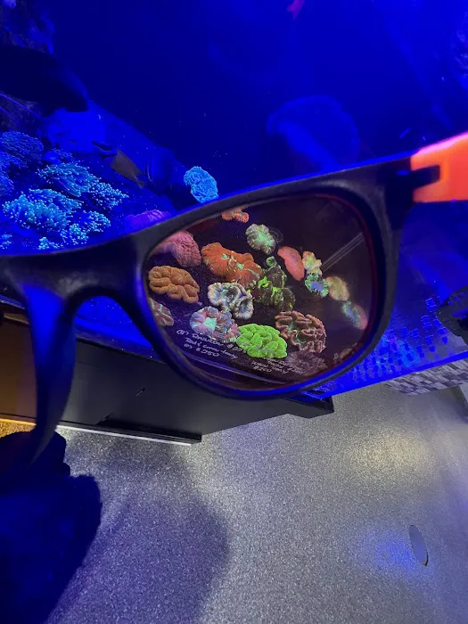 Max Reef Aquatics LLC Picture 6
