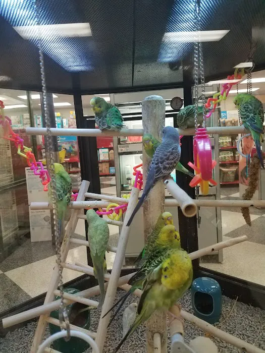 Petco Picture 3