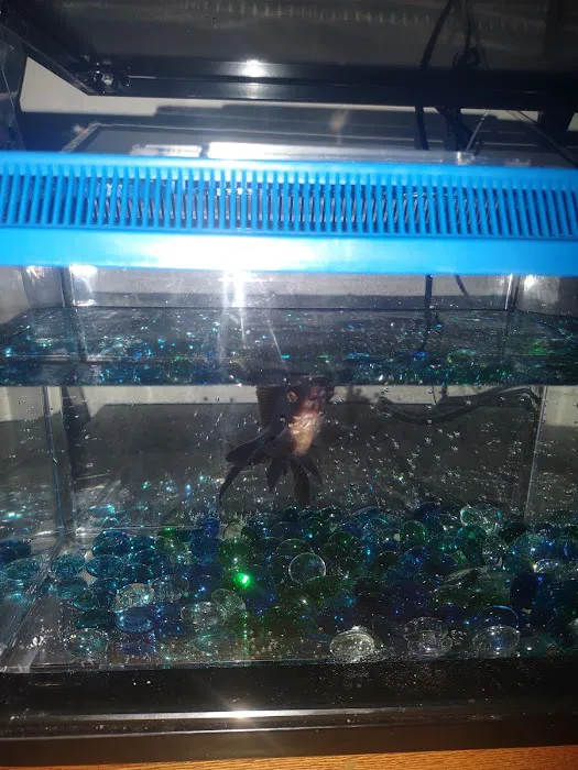 Petco Picture 2